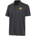 Iowa Hawkeyes Urge Polo