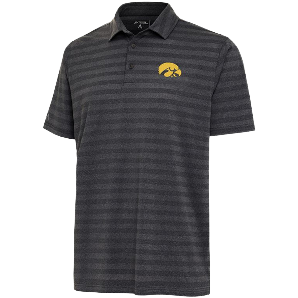 Iowa Hawkeyes Urge Polo