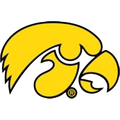 MULTI TIGERHAWK BLACK/GOLD CENTER 3X2 DECAL