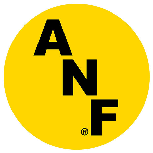 Iowa Hawkeyes ANF 2" Decal - Set of 2