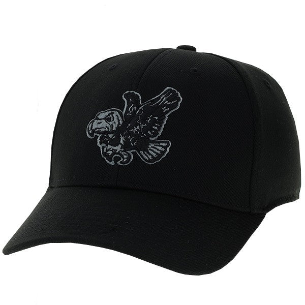 Iowa Hawkeyes Tonal Flying Logo Hat