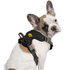 Iowa Hawkeyes Pet Front Clip Harness
