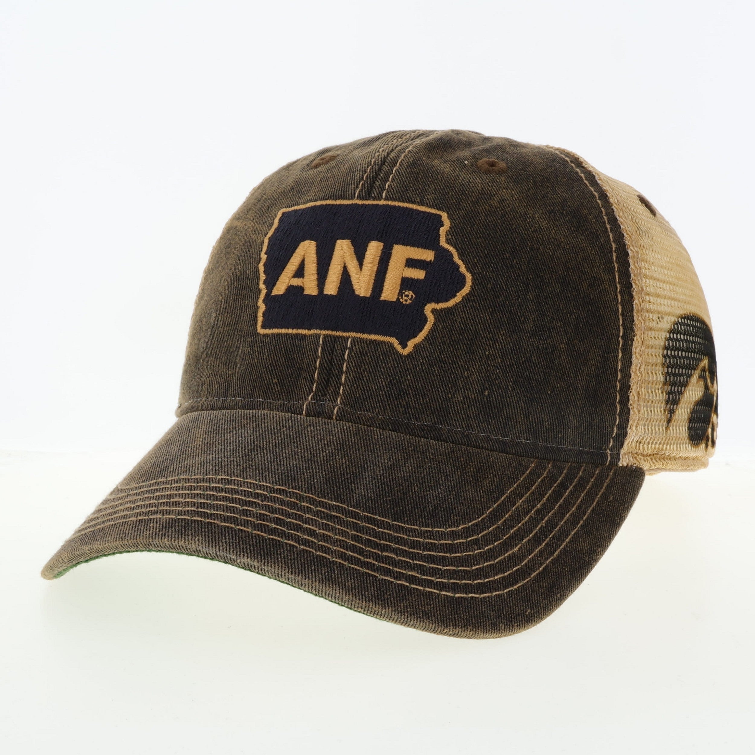 IOWA ANF IN STATE SIDE HIT HH