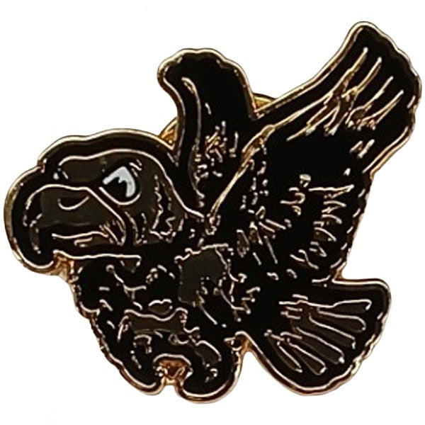 Iowa Hawkeyes 4 Pack Timeline Collector Pins