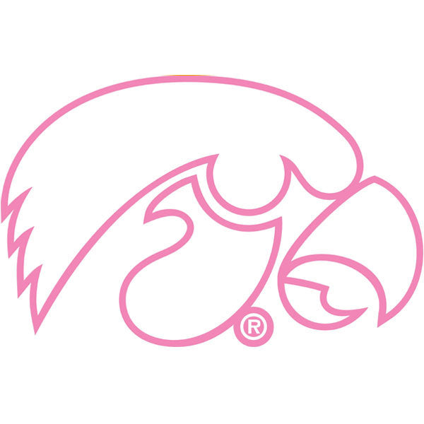 IOWA TIGERHAWK OUTLINE DECAL 6X4