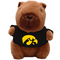 IOWA HAWKEYES CAPYBARA BEAN BUDDIES