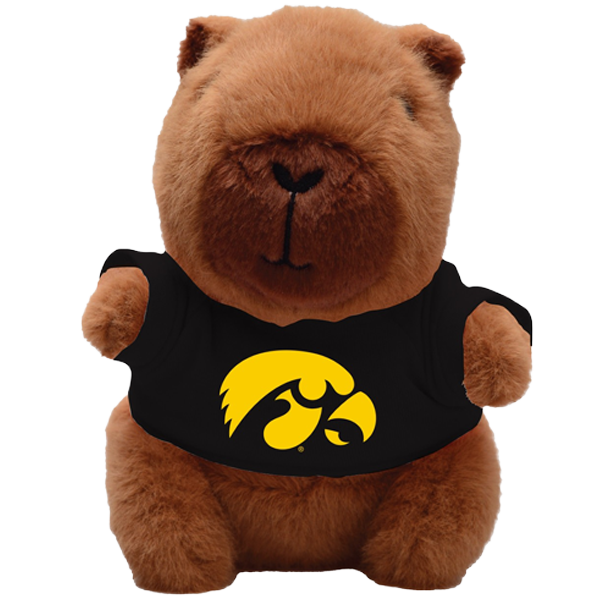 IOWA HAWKEYES CAPYBARA BEAN BUDDIES