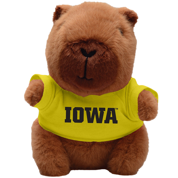 IOWA HAWKEYES CAPYBARA BEAN BUDDIES