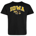 IOWA VERTICAL ARCH W/VIN LOGO