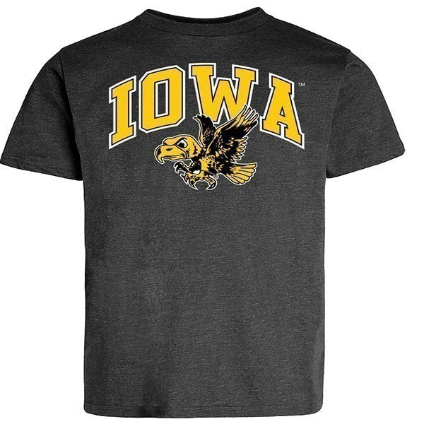 IOWA VERTICAL ARCH W/VIN LOGO