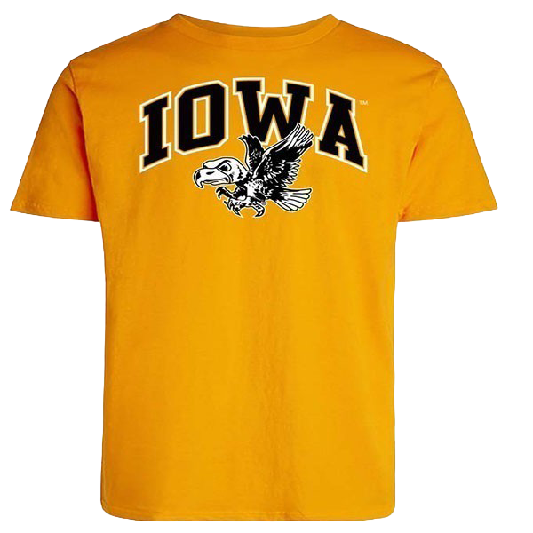 IOWA VERTICAL ARCH W/VIN LOGO