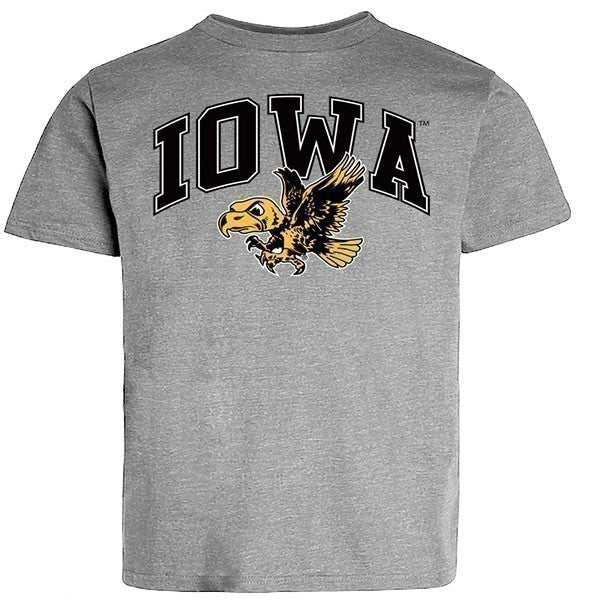 IOWA VERTICAL ARCH W/VIN LOGO
