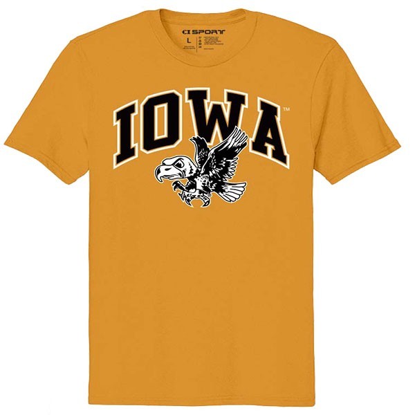 IOWA VERTICAL ARCH W/VIN LOGO