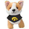 IOWA HAWKEYES BUTTERSCOTCH THE CORGI