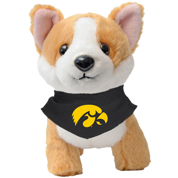 IOWA HAWKEYES BUTTERSCOTCH THE CORGI