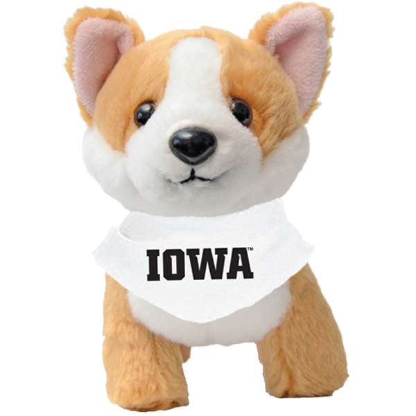 IOWA HAWKEYES BUTTERSCOTCH THE CORGI