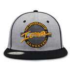 Iowa Hawkeyes Twill Circle Grey Hat