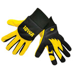 Iowa Hawkeyes Palm Logo Texting Glove