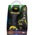 Iowa Hawkeyes Box Set Pet Toys