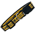 Iowa Hawkeyes Collar