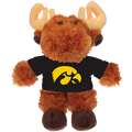 IOWA HAWKEYES MOOSE BEAN BUDDIES