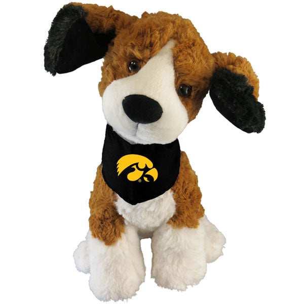 Iowa Hawkeyes Mighty Tykes