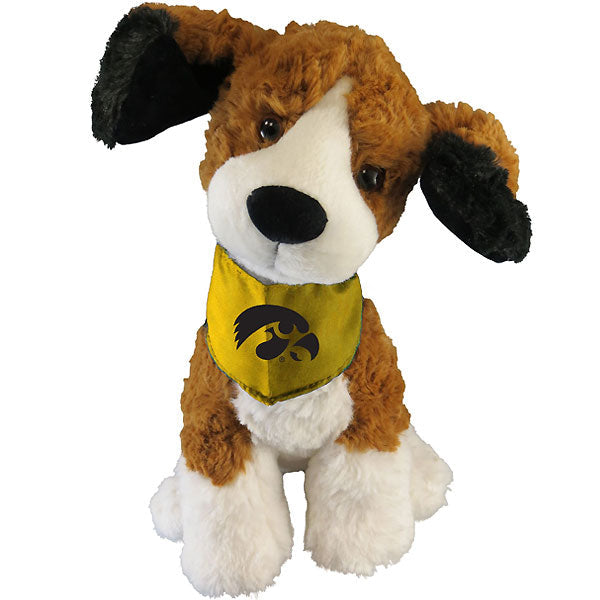Iowa Hawkeyes Mighty Tykes