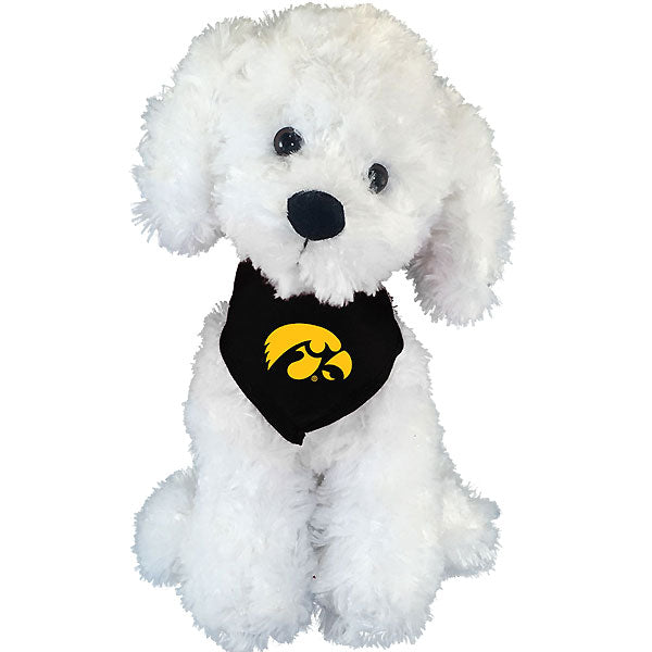 Iowa Hawkeyes Mighty Tykes