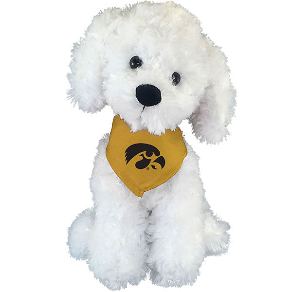 Iowa Hawkeyes Mighty Tykes