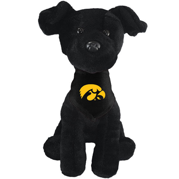 Iowa Hawkeyes Mighty Tykes