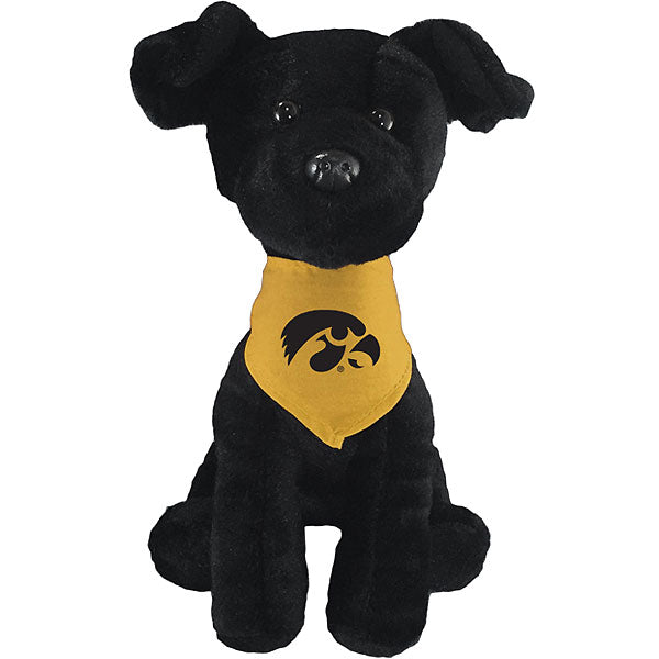 Iowa Hawkeyes Mighty Tykes