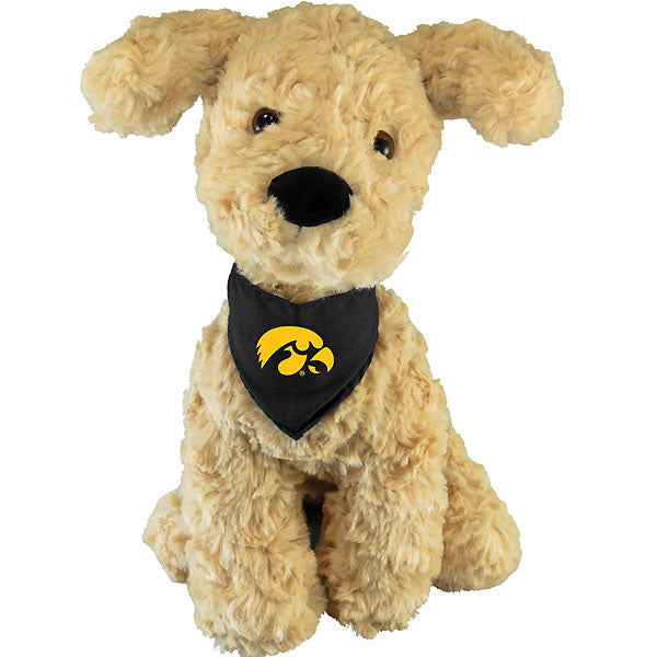 Iowa Hawkeyes Mighty Tykes