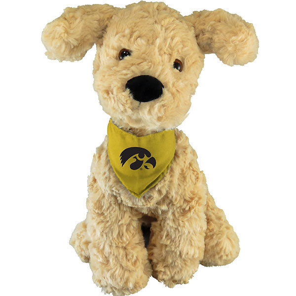 Iowa Hawkeyes Mighty Tykes