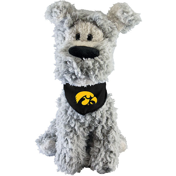 Iowa Hawkeyes Mighty Tykes