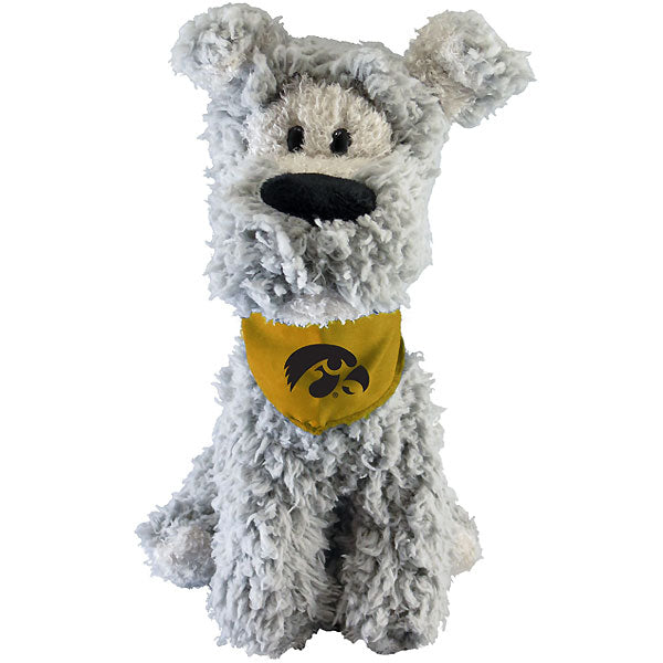 Iowa Hawkeyes Mighty Tykes