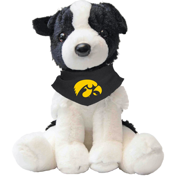 IOWA HAWKEYES OREO THE BORDER COLLIE