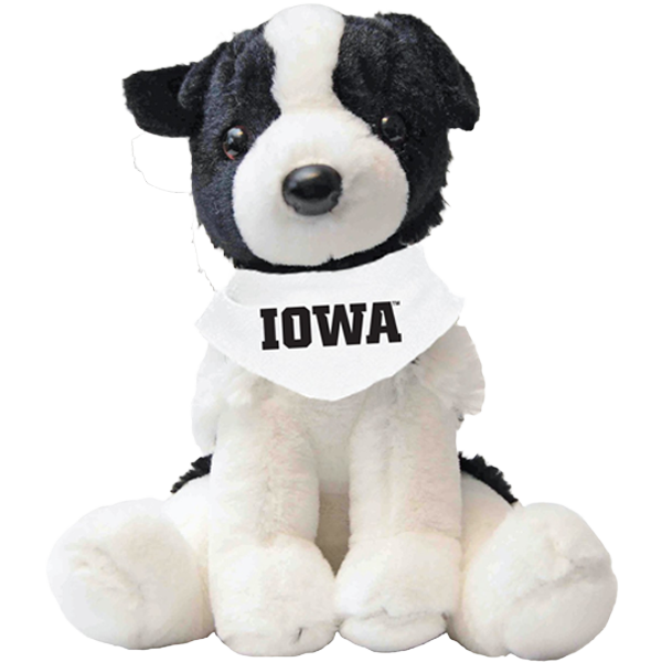 IOWA HAWKEYES OREO THE BORDER COLLIE