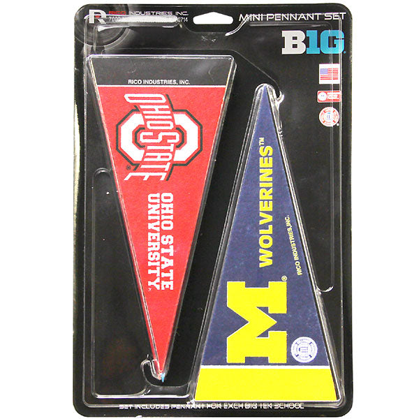Iowa Hawkeyes Big 10 Teams Mini Pennant Set