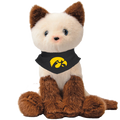 IOWA HAWKEYES MOCHI THE SIAMESE KITTY