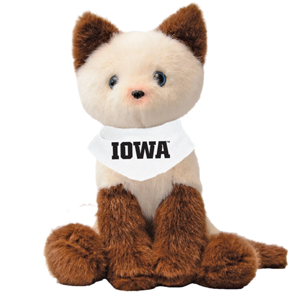 IOWA HAWKEYES MOCHI THE SIAMESE KITTY