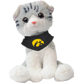 IOWA HAWKEYES MITTY THE TABBY KITTY