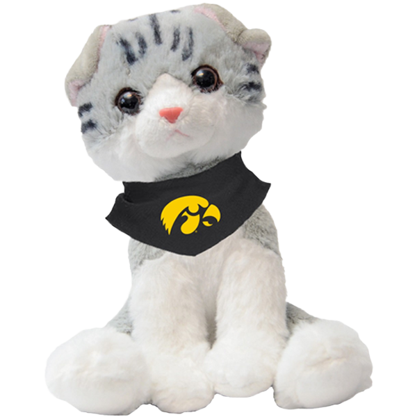 IOWA HAWKEYES MITTY THE TABBY KITTY