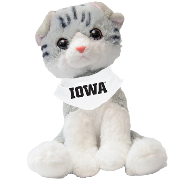 IOWA HAWKEYES MITTY THE TABBY KITTY