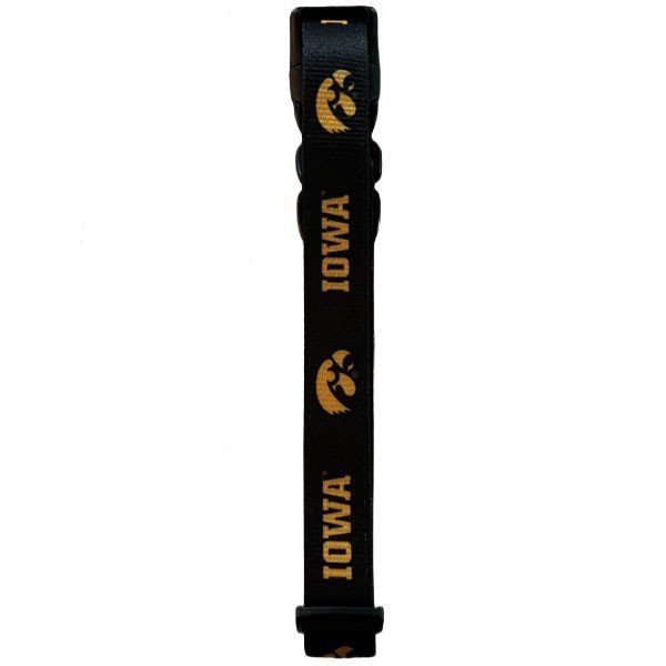Iowa Hawkeyes Pet Collar