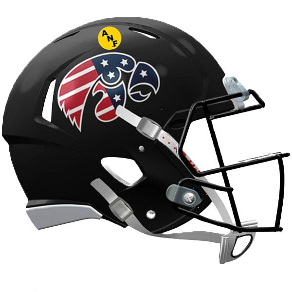 Iowa Hawkeyes Mini Patriotic Helmet