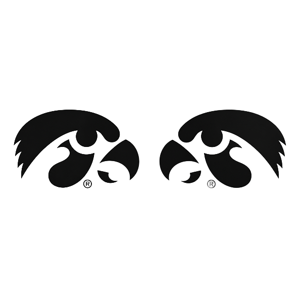 Iowa Hawkeyes Mirror Tigerhawk Decals 6.6 X 2