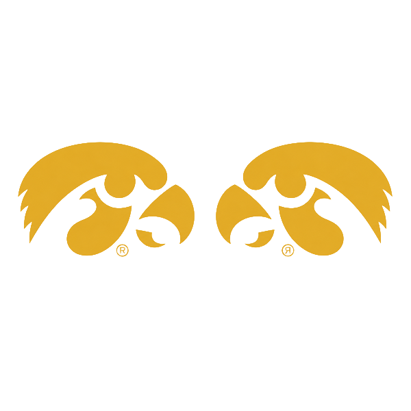 Iowa Hawkeyes Mirror Tigerhawk Decals 6.6 X 2