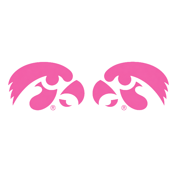 Iowa Hawkeyes Mirror Tigerhawk Decals 6.6 X 2