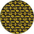 IOWA 25 PACK 9" PLATES