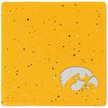 Iowa Hawkeyes Individual Speckled Coaster